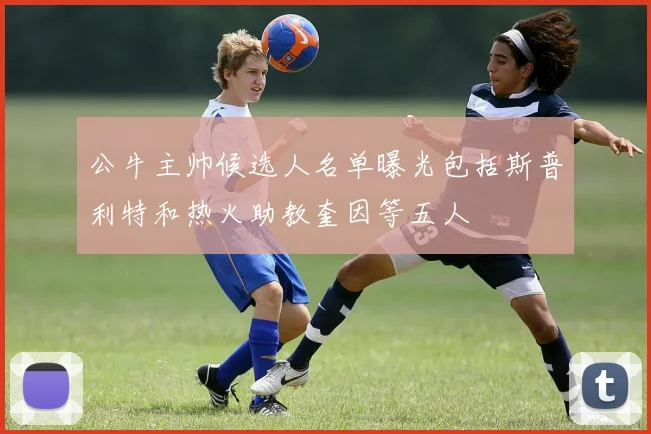 公牛主帅候选人名单曝光包括斯普利特和热火助教奎因等五人