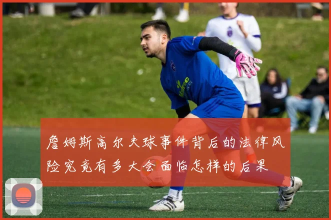 詹姆斯高尔夫球事件背后的法律风险究竟有多大会面临怎样的后果